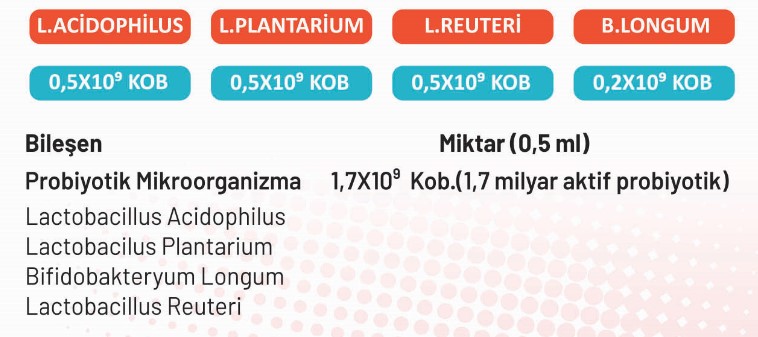 Laktokids Drop probiyotik içeriği